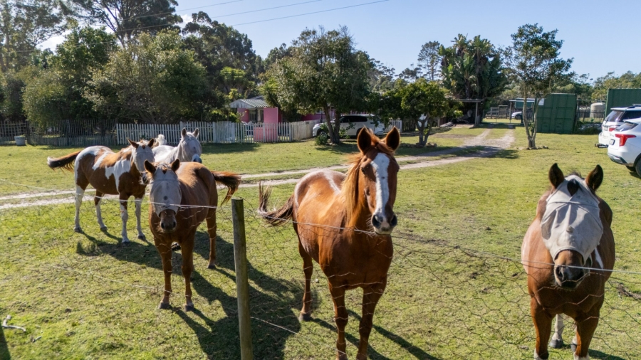 Commercial Property for Sale in Plettenberg Bay Rural Western Cape